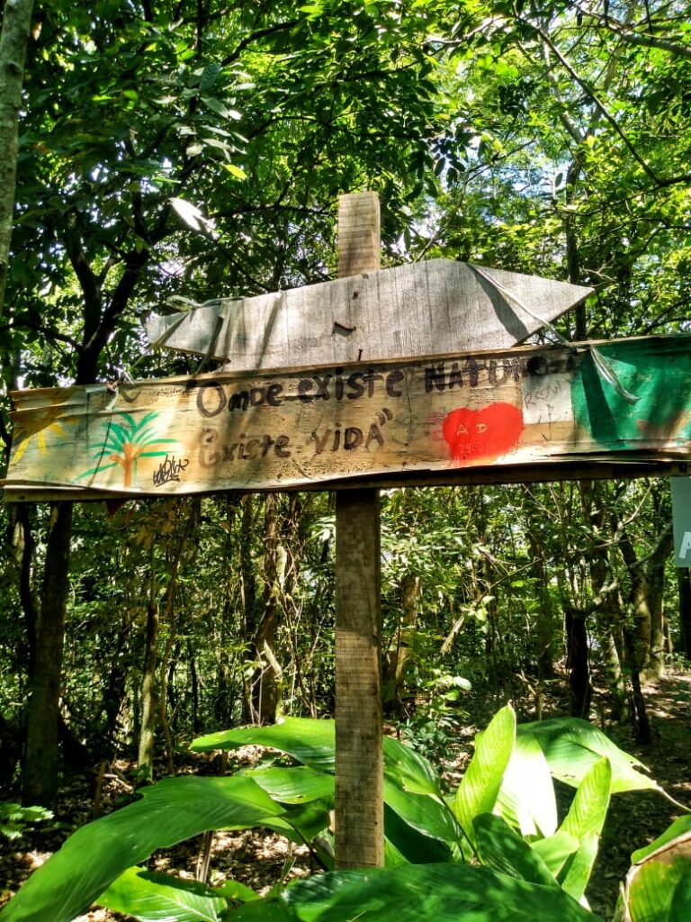 Trilhas Morro Dois Irmãos Vidigal - RJ