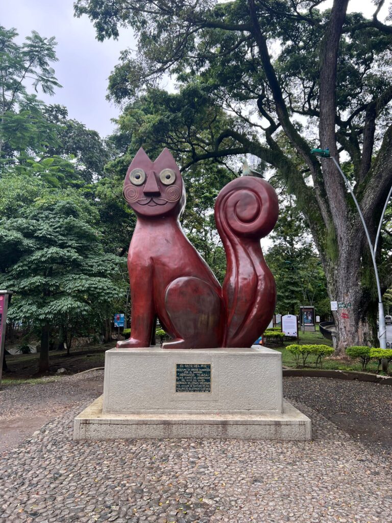 Parque de los gatos - Foto do arquivo pessoal de Natasha Gabrieli