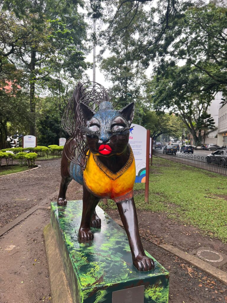 gata - Parque de los gatos - Foto arquivo pessoal de Natasha Gabrieli